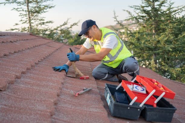 Roof Repair Estimates in Lucas, TX